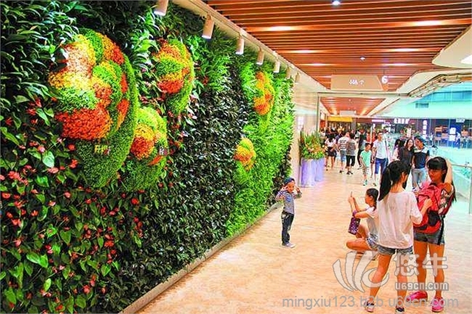 沧州植物墙设计施工图1